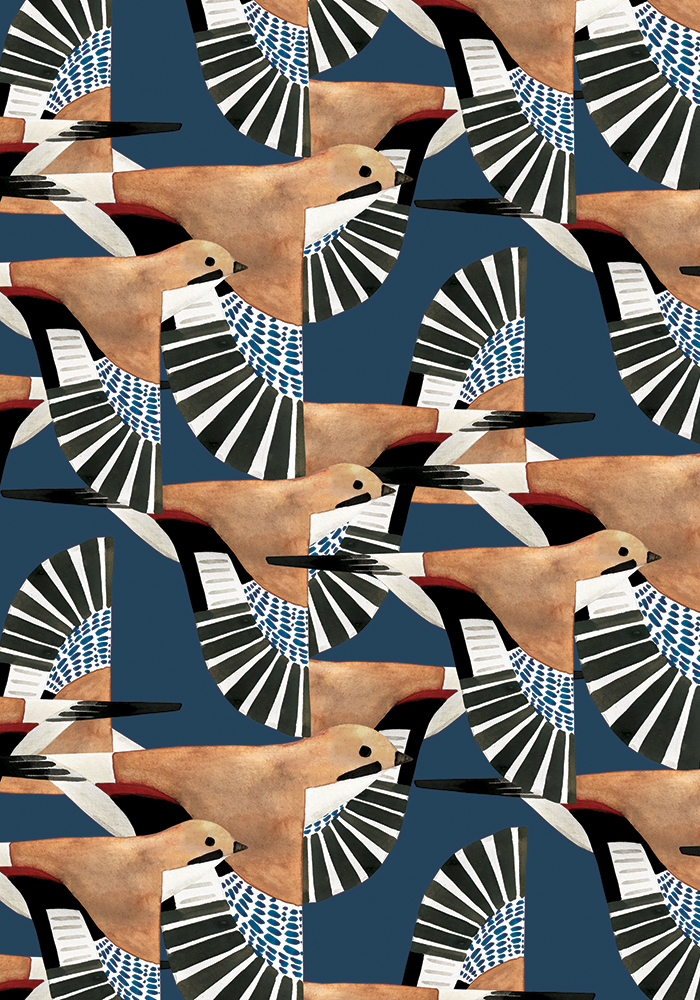 Image du produit Migration - bleu